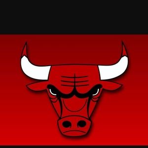 Meet your Posher, Brady